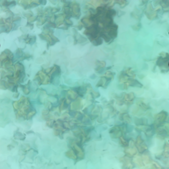 Original distorted image