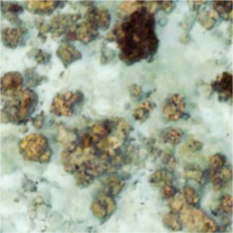 Final restored image